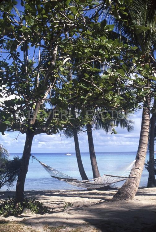 Islands;Hammock;rangiroa;french polynesia;palm trees;water;blue sky